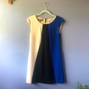 Donna Ricco color block